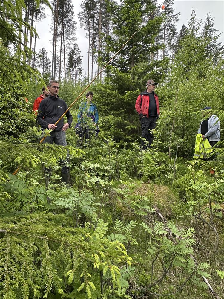 Mennesker på befaring i skogen - Klikk for stort bilde