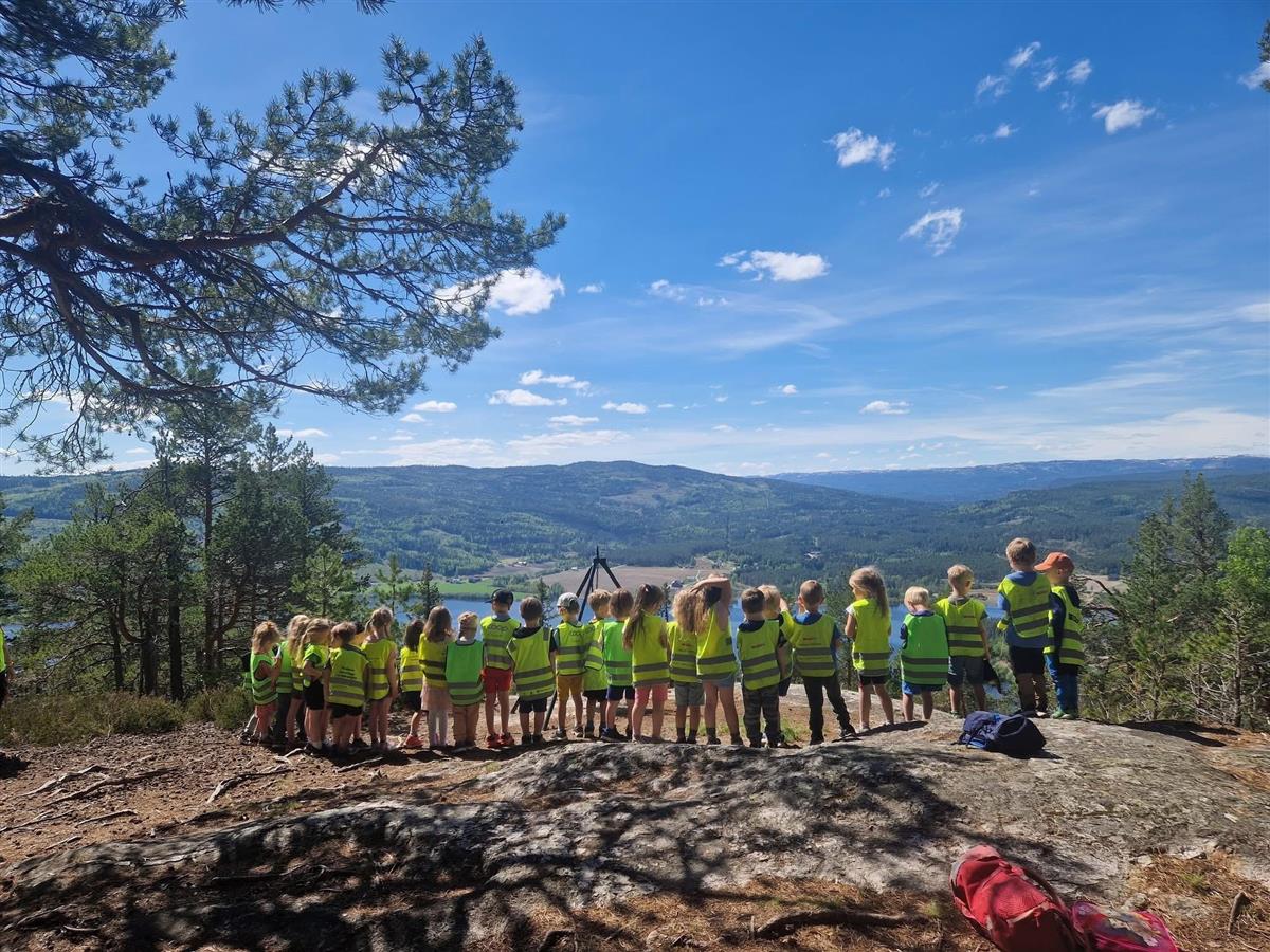 Barnegruppe på et fjell, blå himmel og sol - Klikk for stort bilde