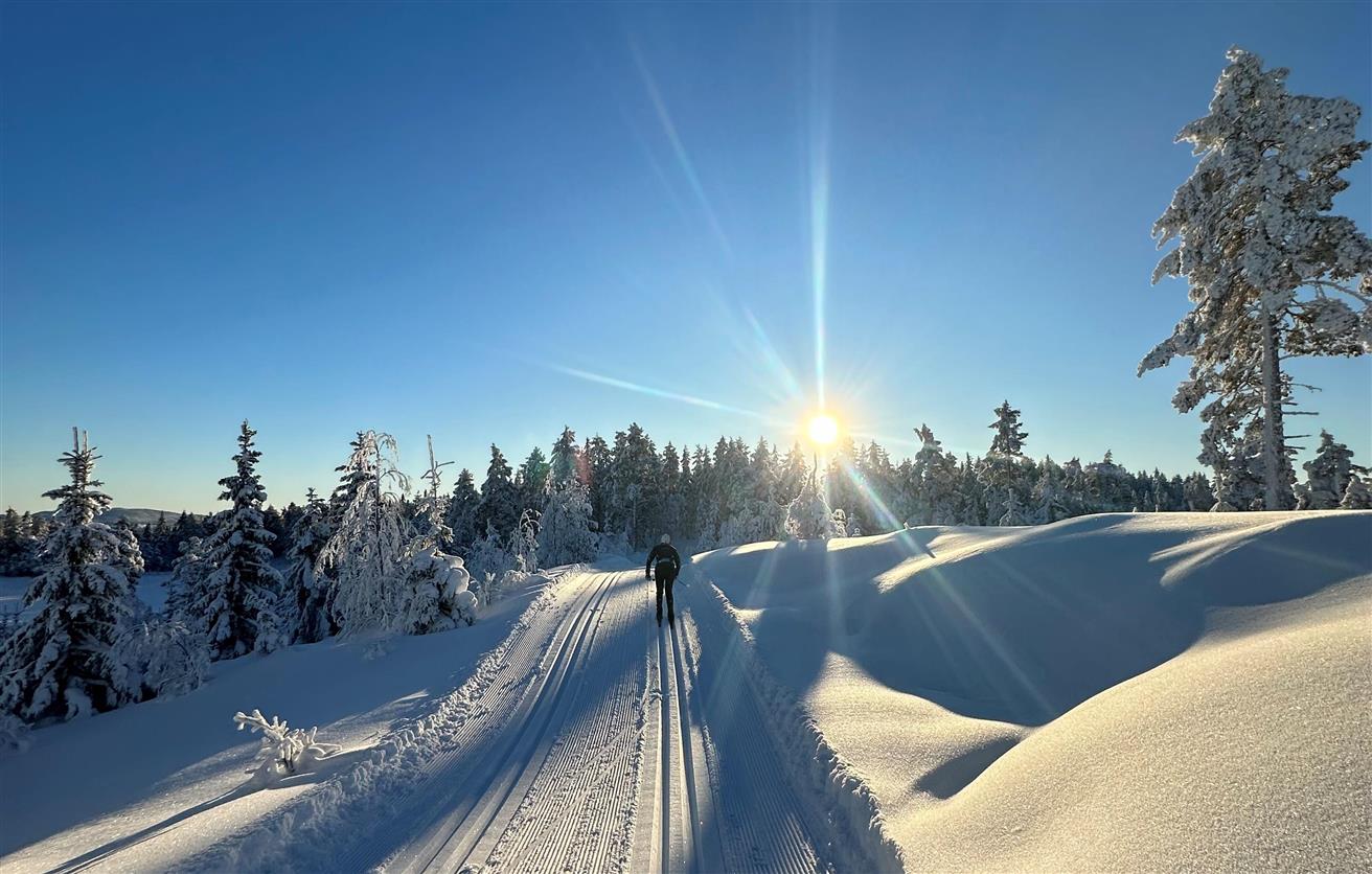 Skiløyper, skigåer og sol