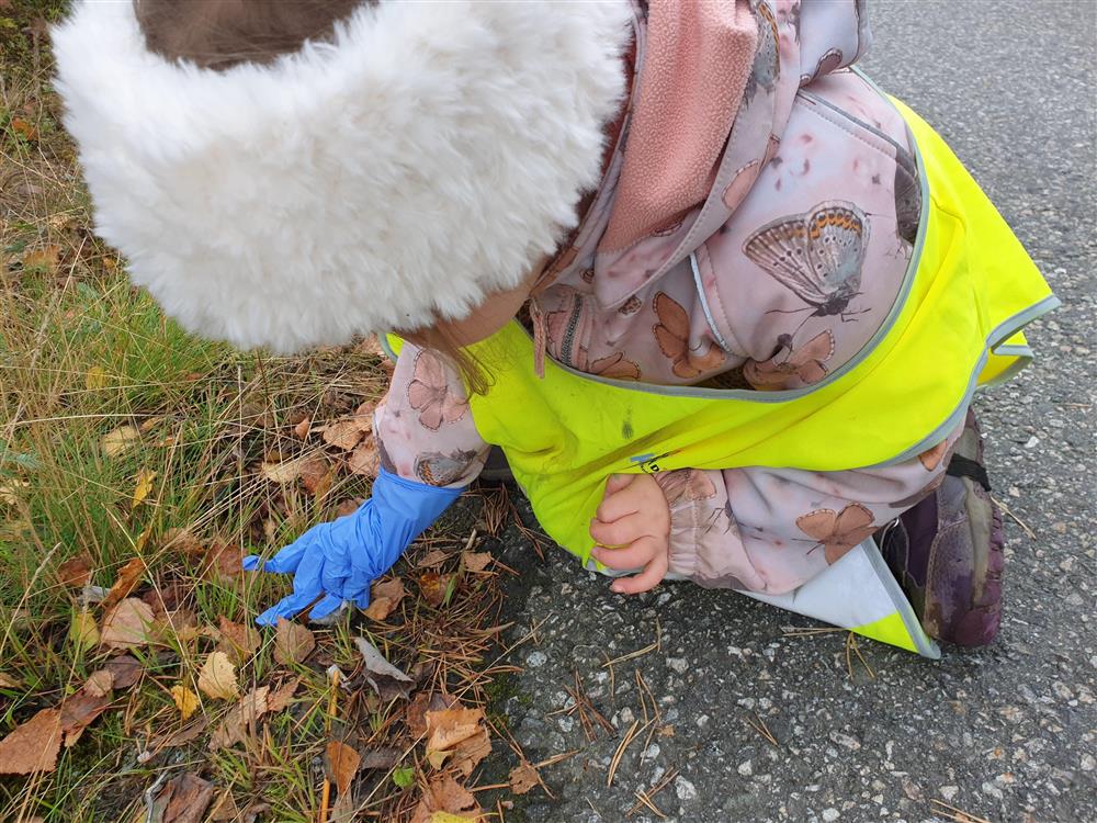 Klikk for stort bilde