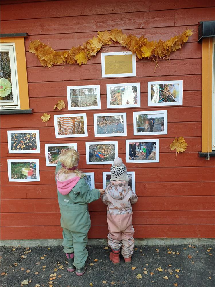Klikk for stort bilde