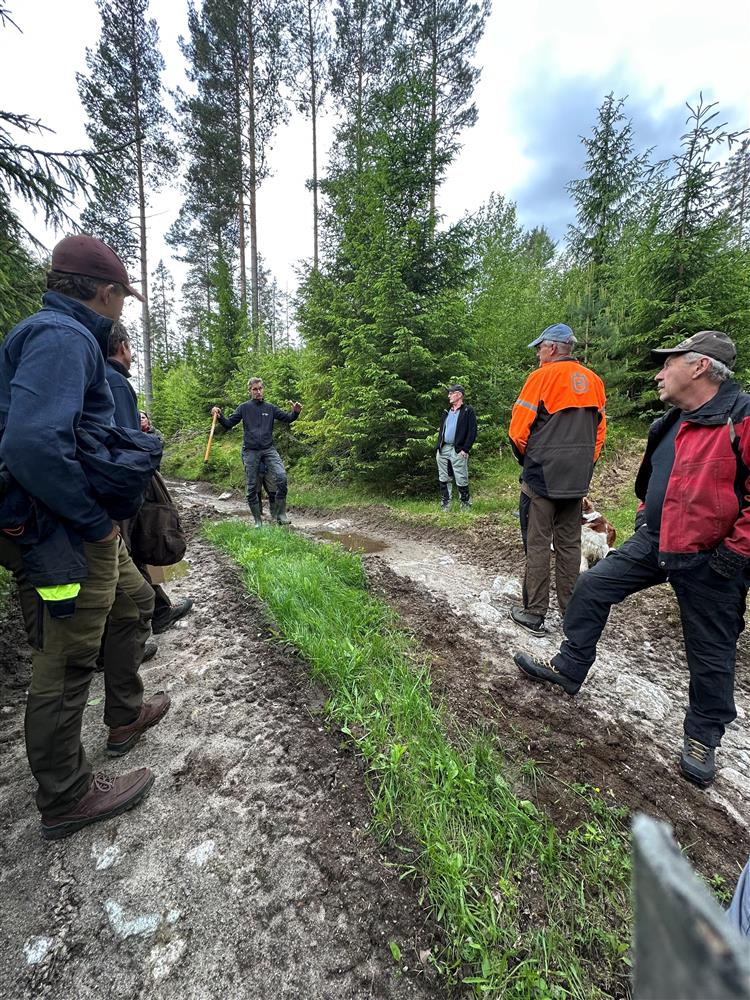 Mennesker på befaring i skogen - Klikk for stort bilde