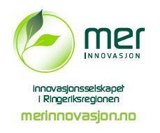 Logo mer Innovasjon - Klikk for stort bilde