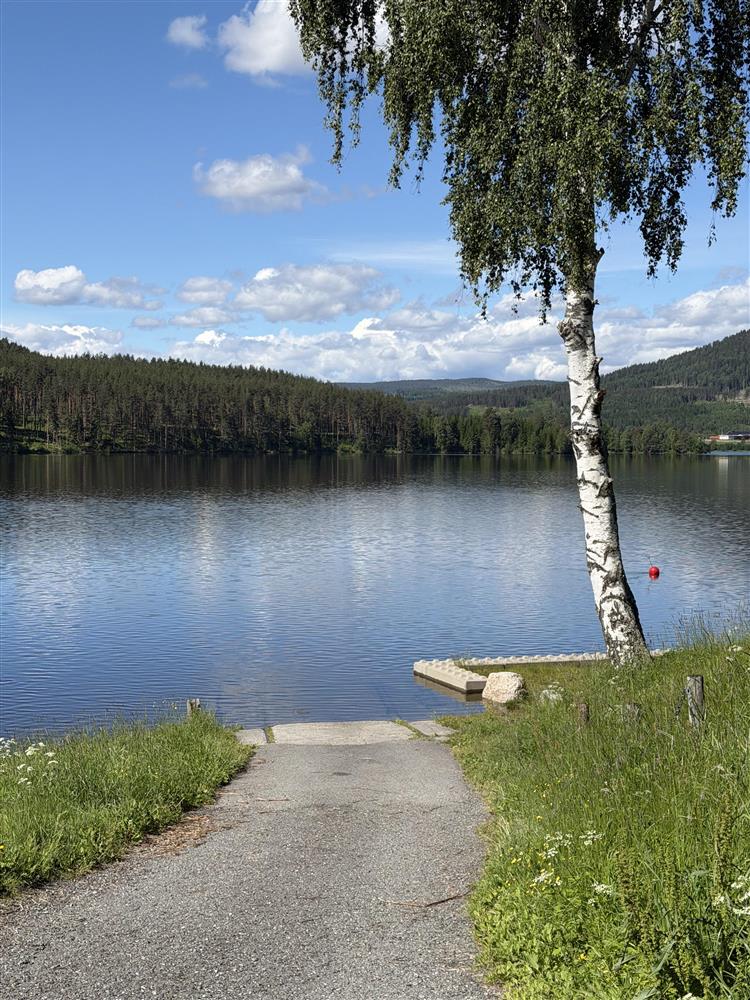 Brygge, båter, fjord, blå himmel - Klikk for stort bilde