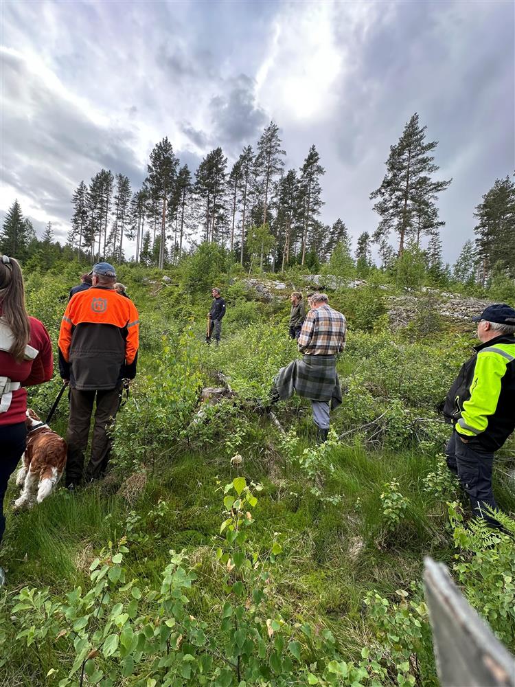 Mennesker på befaring i skogen - Klikk for stort bilde