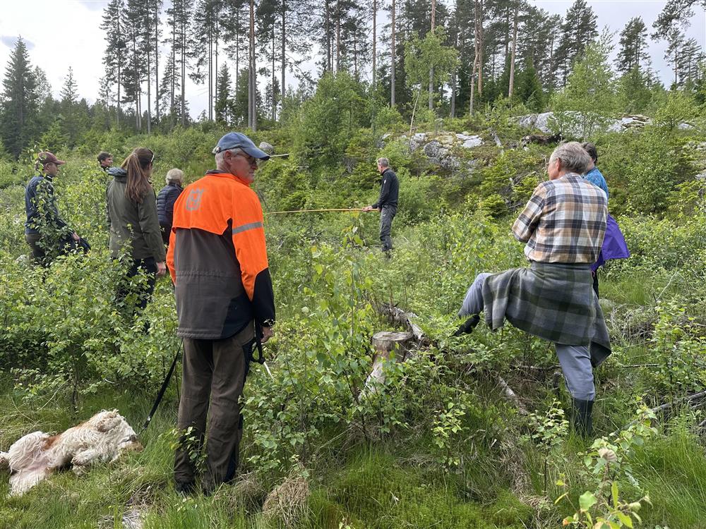 Mennesker på befaring i skogen - Klikk for stort bilde