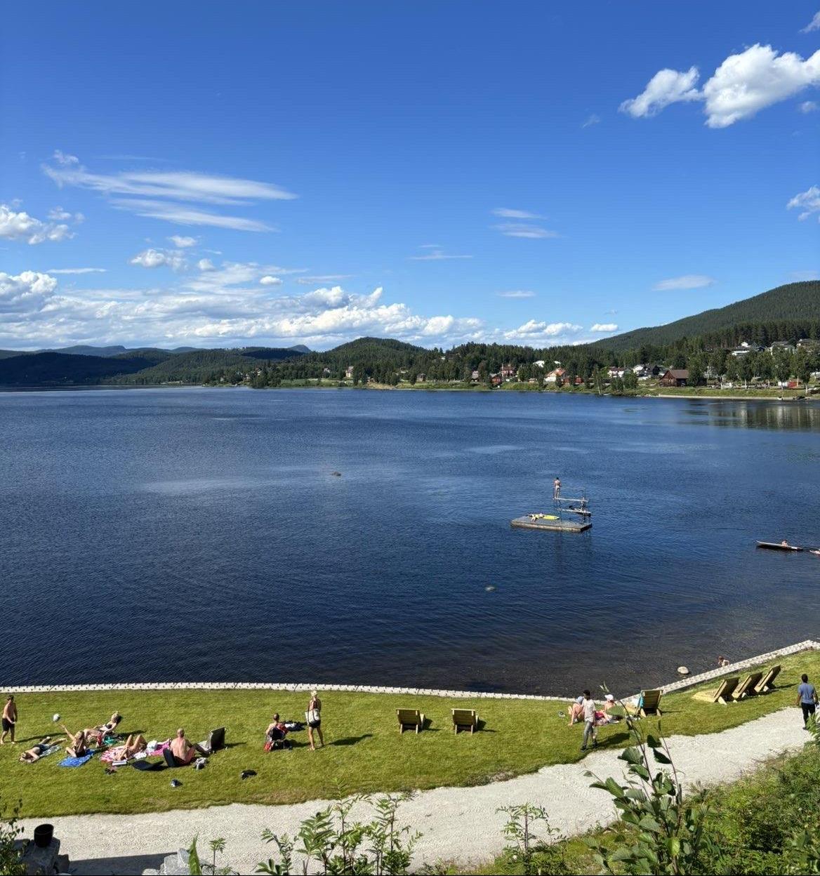 Strand, fjord, blå himmel, stupebrett, fjell