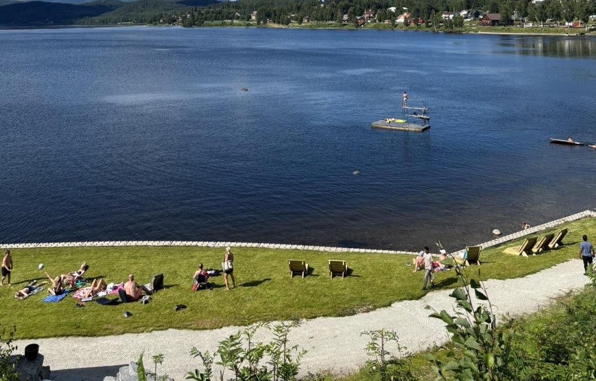 Strand, fjord, blå himmel, stupebrett, fjell