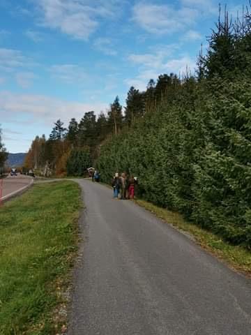 Klikk for stort bilde