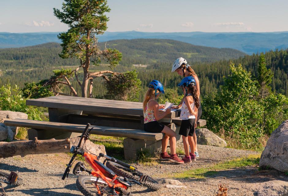 Sykkel, mennesker, benk, trær, fjell i horisontene, disig himmel - Klikk for stort bilde